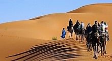 Circuit en bivouac dans le désert marocain